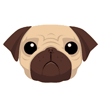 Pug